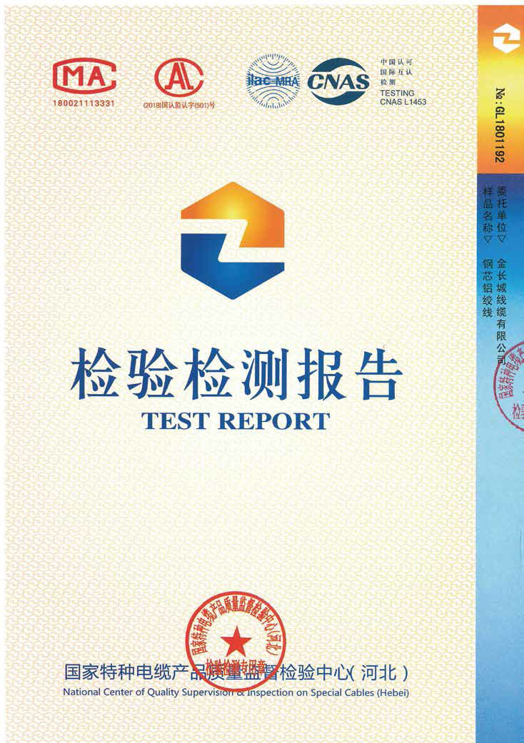Inspection report-ACSR